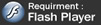 Download and Install Flash Player